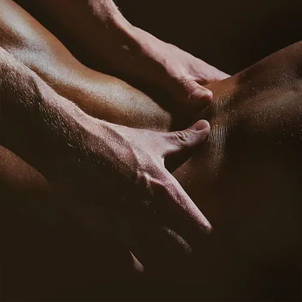 ines 03 ines 03